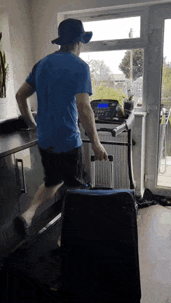 gifs_18