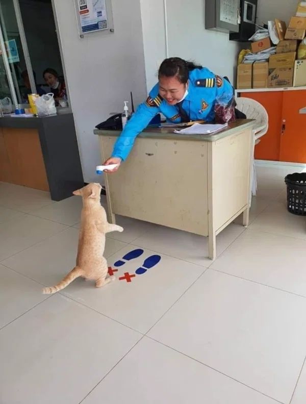 Covid-19_przed_nawrotem6