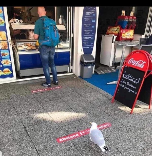 Covid-19_przed_nawrotem49