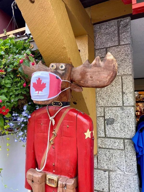 Covid-19_przed_nawrotem75