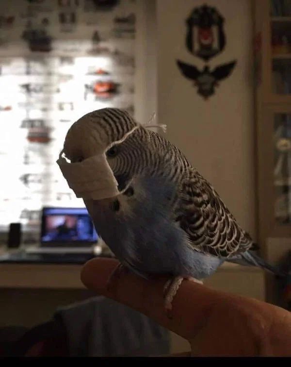 Covid-19_przed_nawrotem1